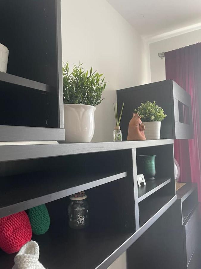 Studio Viva - Cosy Flat In Budapest - Free Parking Buitenkant foto