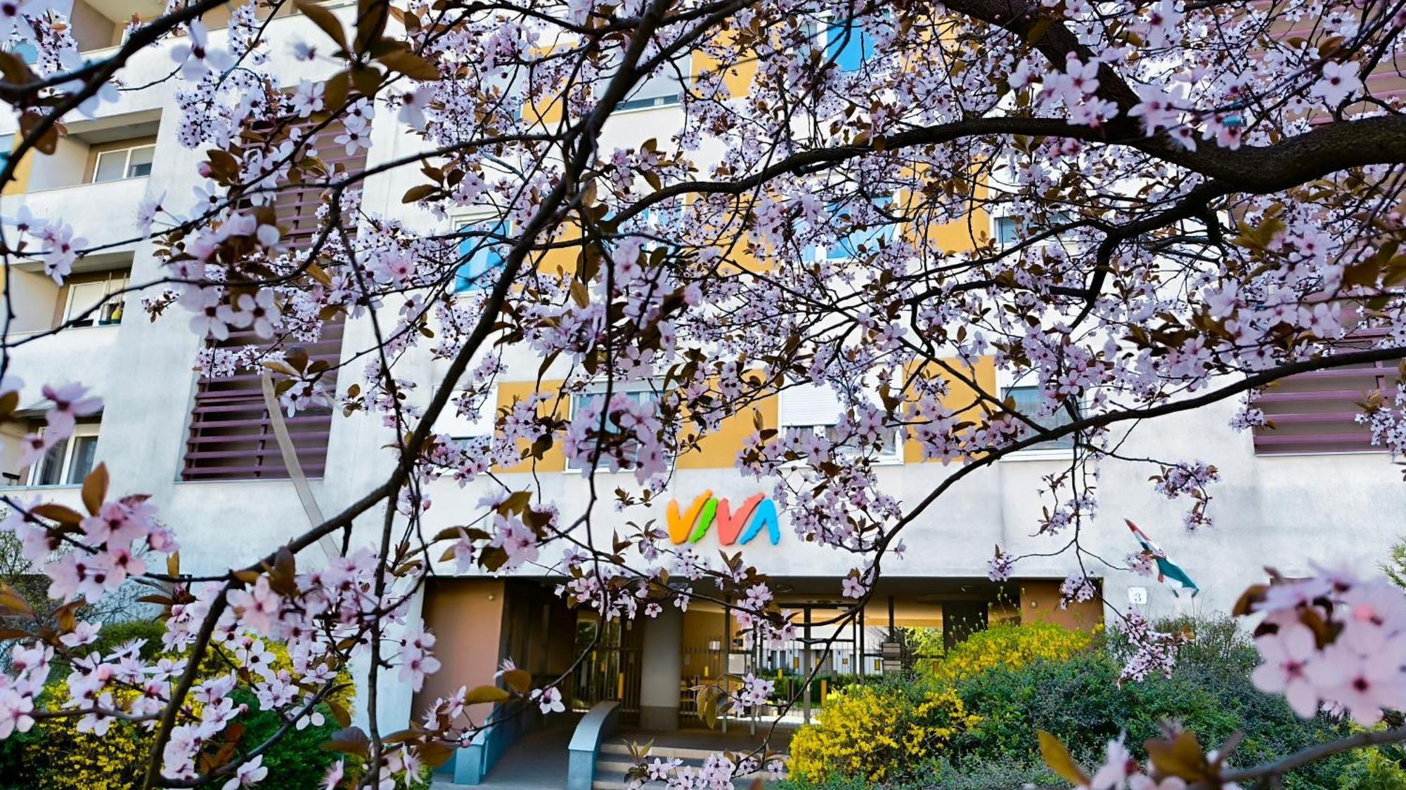 Studio Viva - Cosy Flat In Budapest - Free Parking Buitenkant foto