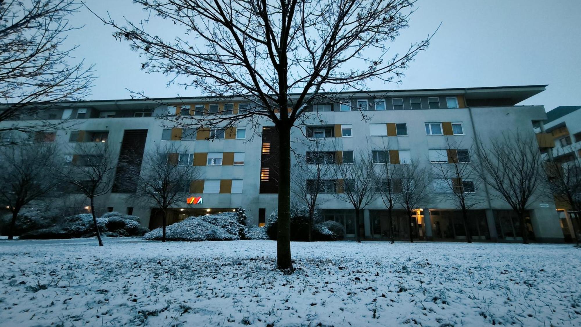 Studio Viva - Cosy Flat In Budapest - Free Parking Buitenkant foto