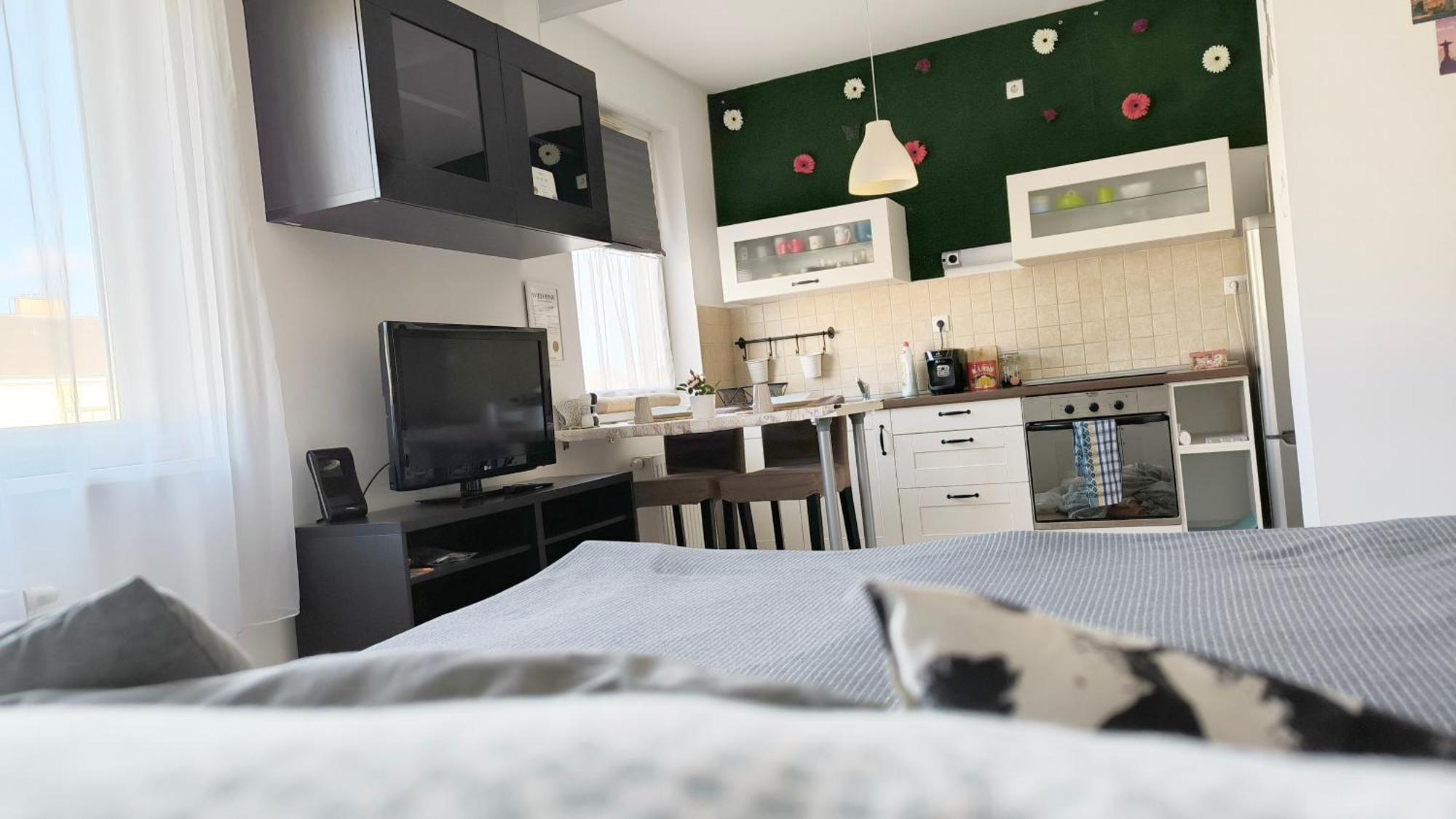 Studio Viva - Cosy Flat In Budapest - Free Parking Buitenkant foto
